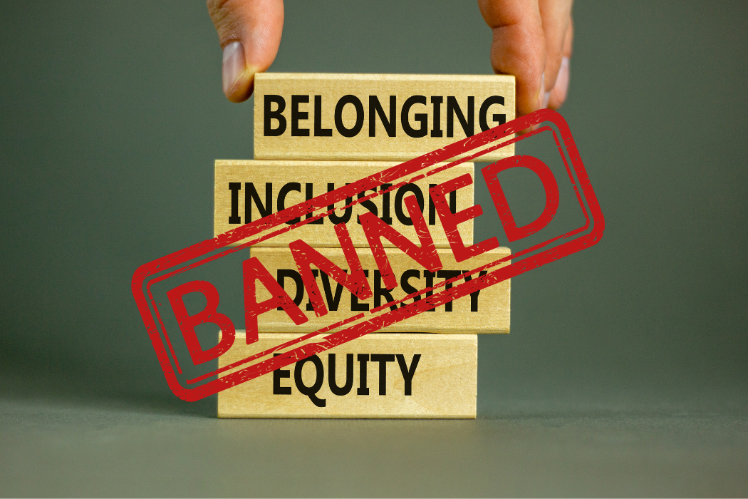 Belonging, Inclusion, Diversity, Equity written on blocks stacked in a tower with the word Banned superimposed over them