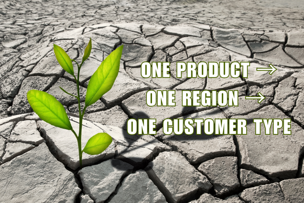 Business resilience and strategic growth in a volatile market